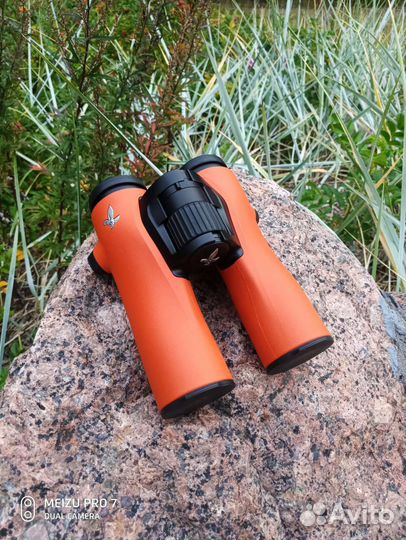 Swarovski NL pure 8X32