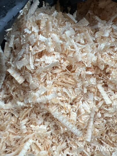 Стружка, опилки из сосны
