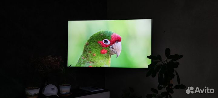 Телевизор samsung 50