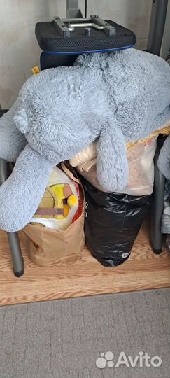 Отдам бесплатно