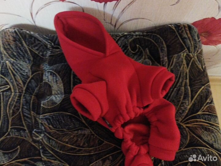 Одежда для собак мелких пород