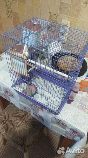 Клетка для волнистого попугая