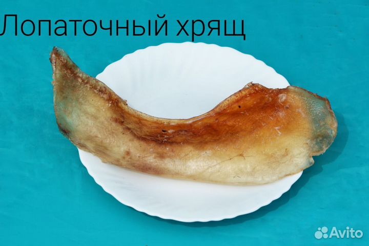 Сухие лакомства для собак