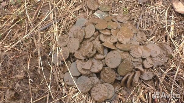 Металлоискатели Teknetics разные в Твери