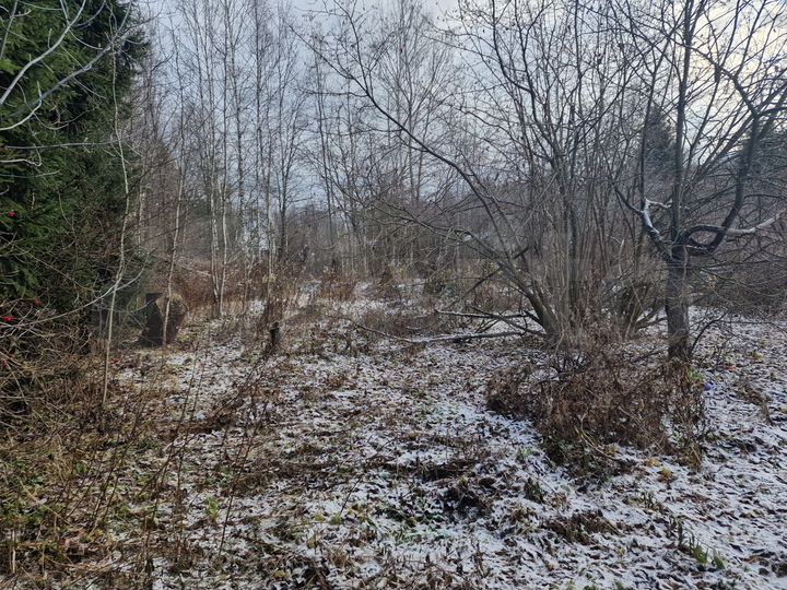 Участок 9 сот. (СНТ, ДНП)