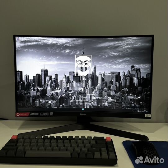 Игровой Монитор Iiyama Red Eagle GB2466HSU-B1