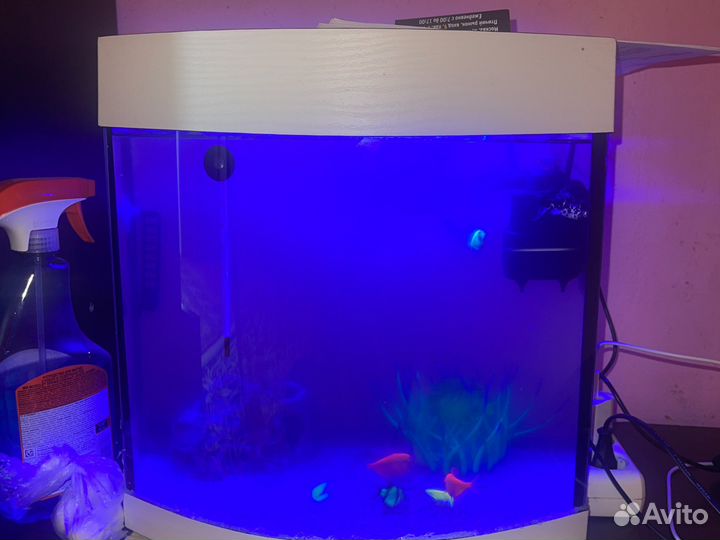 Аквариум с рыбками
