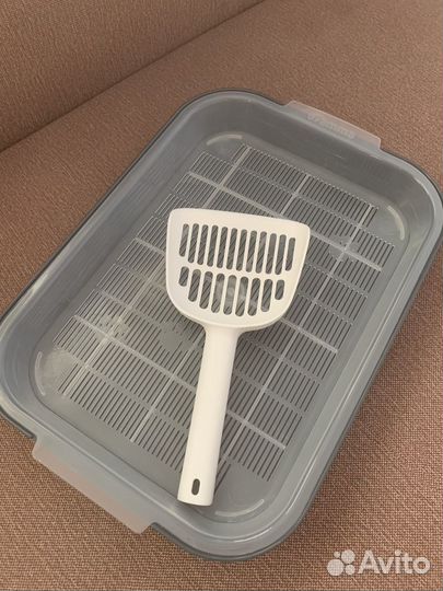 Все для котенка