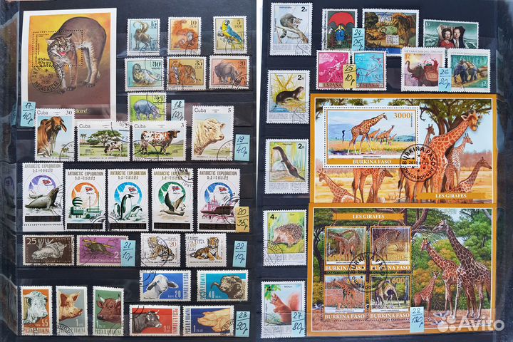 Марки. Фауна. Набор № 2