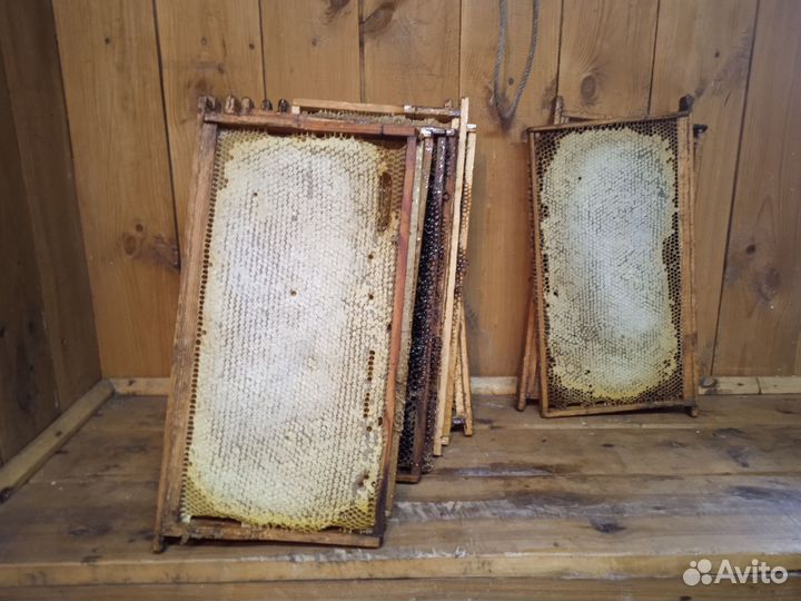 Мëд с доставкой