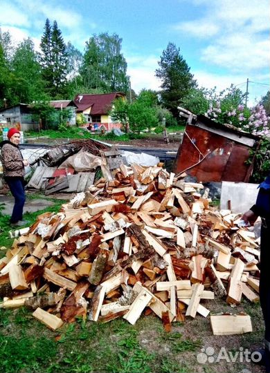 Дрова Осина навалом