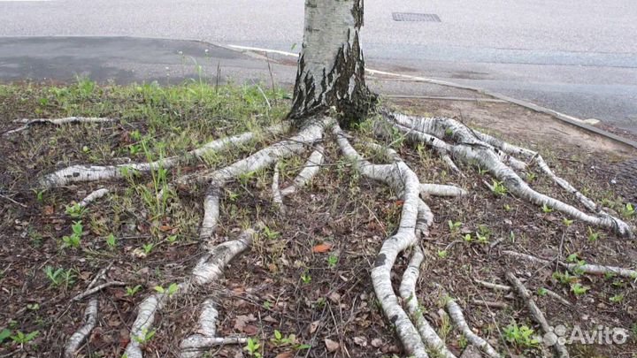 Предметы интерьера