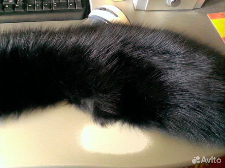 Чернобурка воротник и манжеты