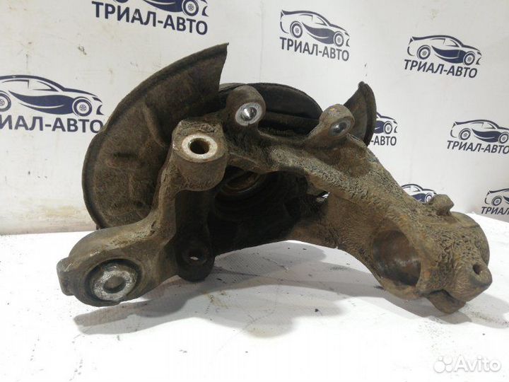 Freelander Цапфа