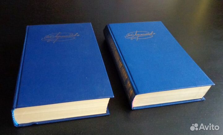 М. Ю. Лермонтов. 2 тома