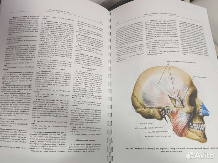 Комплект - Анатомия Синельникова 4тома