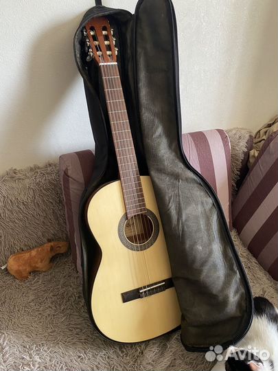 Акустическая гитара cort ac100 sg