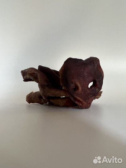 Свиные пятаки