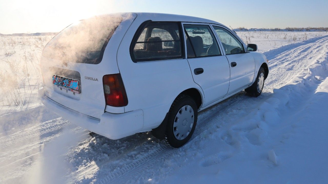 Toyota Corolla: фото владельца