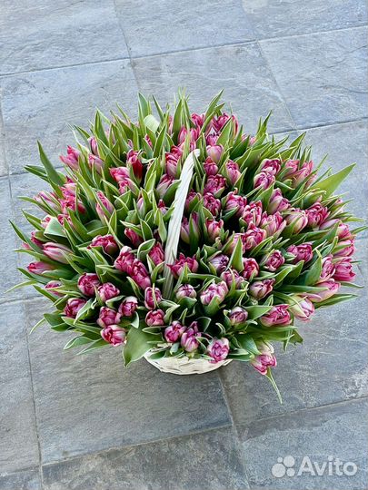 Букеты 101 тюльпан тюльпаны в корзине