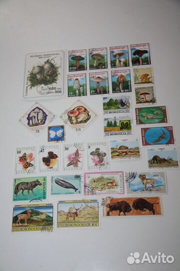 Почтовые Марки Блок Флора-фауна