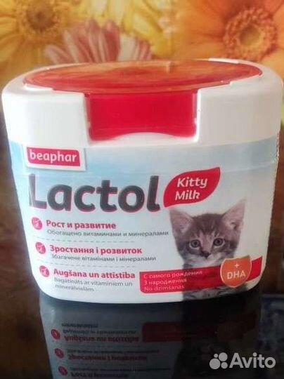 Молоко для котят с соской и бутылочкой