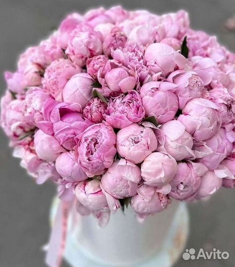 Пионы Цветы Доставка