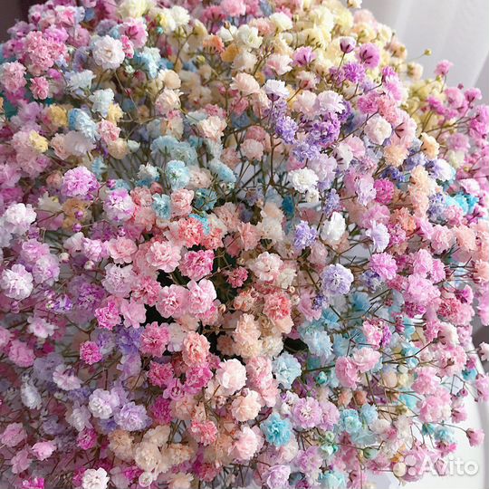 Радужная гипсофила в картонном цилиндре