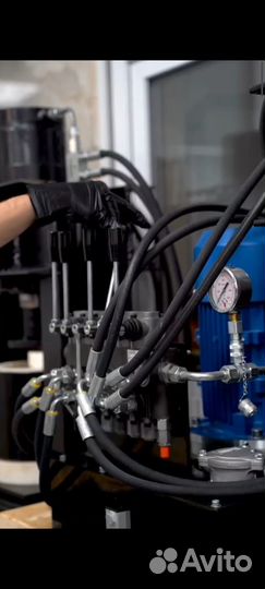 Свежевыжатые под пресом масла хол. отжима