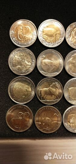 Монеты Турция красная книга