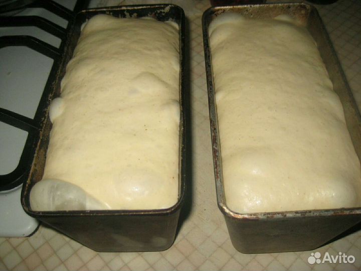 Закваска Хлебная, Фруктово Ржаная (вечная) 6 лет