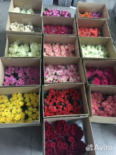 Цветы,розы оптом