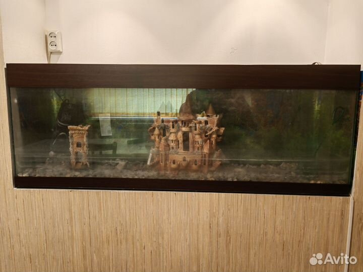 Аквариум