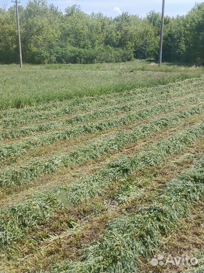 Сено в тюках