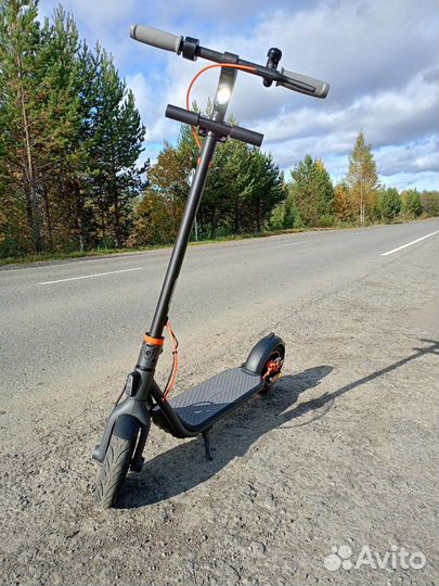 Самокат взрослый ninebot F40