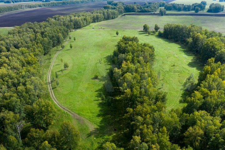 Участок 10 сот. (СНТ, ДНП)