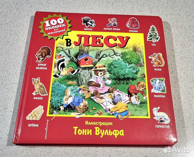 Книга 1000 окошек В лесу, художник Тони Вульф