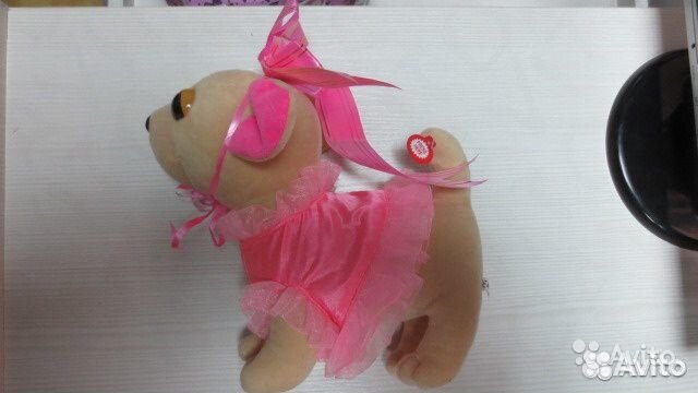 Чичилав в сумочке