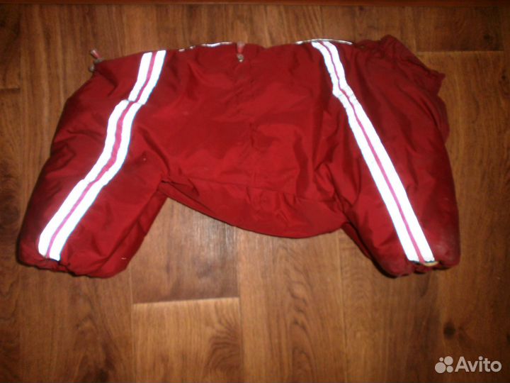 Комбинезон для вашего верного друга