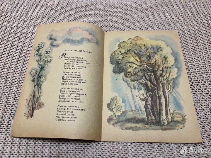 Брюсов. Стихотворения. Худ. Виноградова. 1984