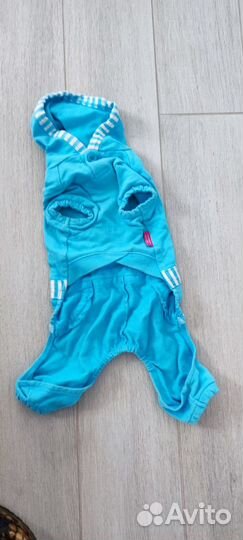 Одежда для животных