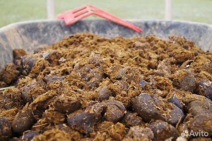 Навоз конский