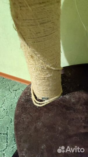 Домик когтеточка