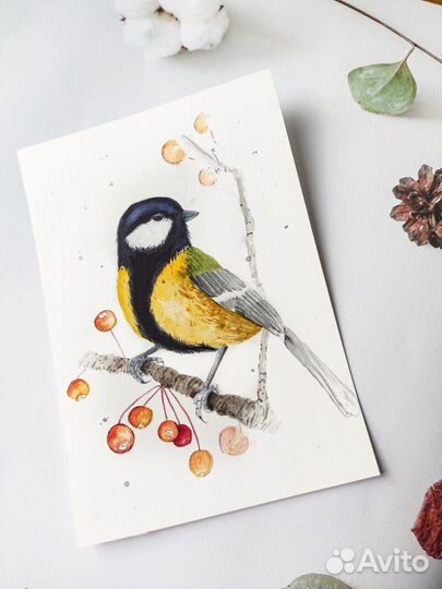 Акварельные рисунки