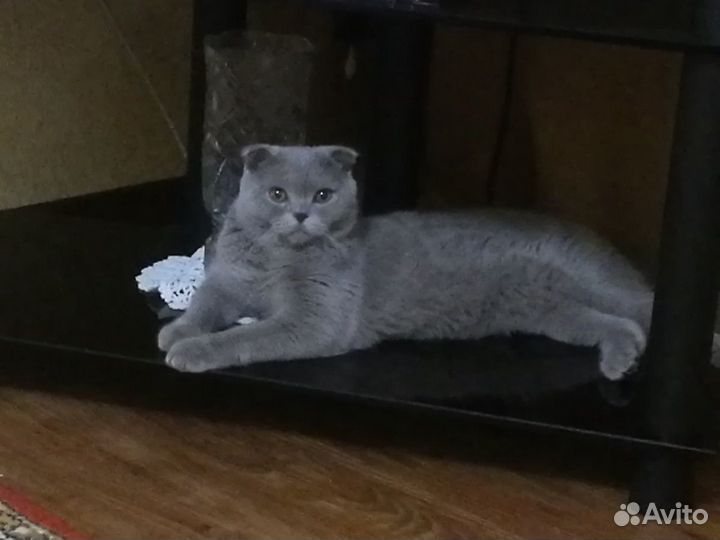 Вязка