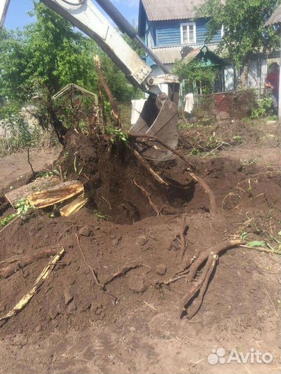 Расчистка участка