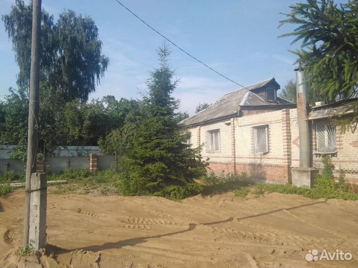 Ели крупномеры