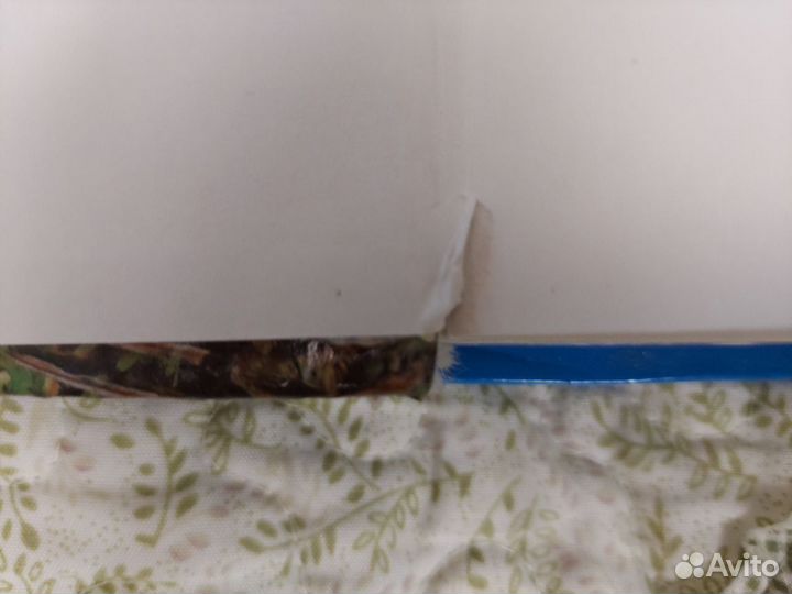 Стив Паркер 