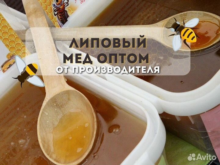 Свежий липовый мед оптом