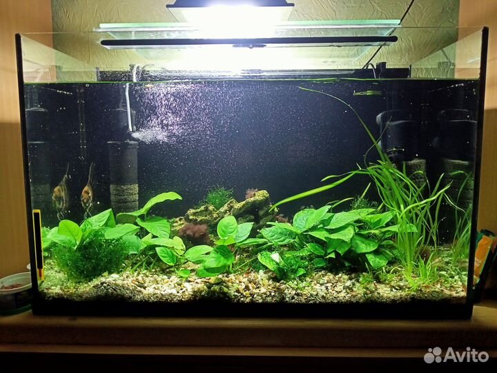 Готовый аквариум со всем содержимым 140л